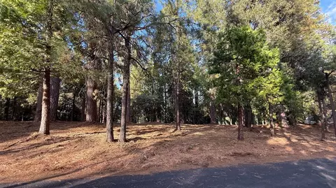 19045 Pine Dr, Pioneer, CA 95666 photo 12