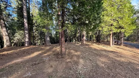 19045 Pine Dr, Pioneer, CA 95666 photo 4