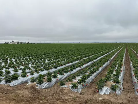 581 San Juan Grade Rd, Salinas, CA 93907
