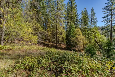 27190 Hill Rd, Pioneer, CA 95666