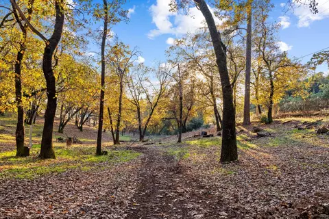 2000 Bear Rock Rd, Placerville, CA 95667 photo 4