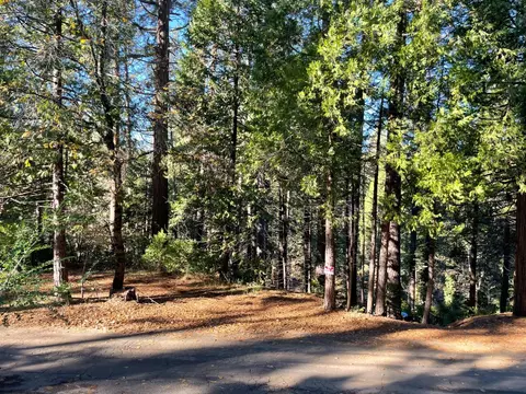22447 Ponderosa Dr, Twain Harte, CA 95383