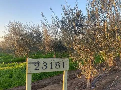 23181 N Devries Rd, Lodi, CA 95242