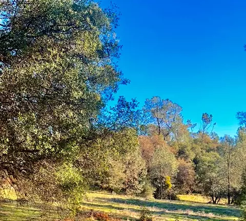 7317 La Porte Rd, Rackerby, CA 95972 photo 19