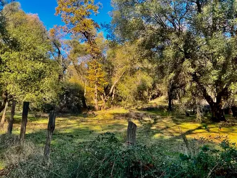7317 La Porte Rd, Rackerby, CA 95972 photo 17