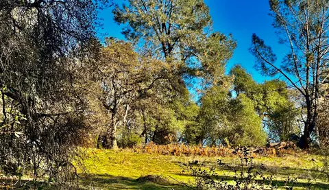 7317 La Porte Rd, Rackerby, CA 95972 photo 16