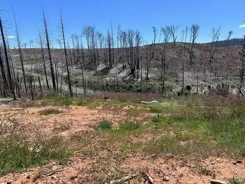4963 Deertrack Ct, Grizzly Flats, CA 95636