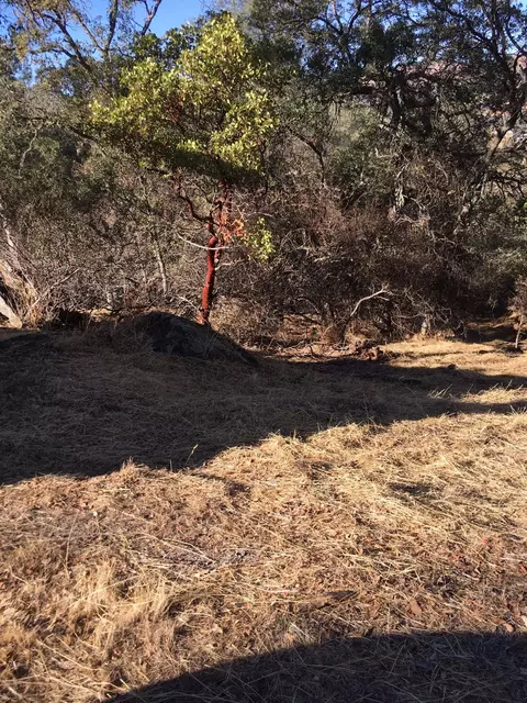 4983 Pueblo Tr, Copperopolis, CA 95228