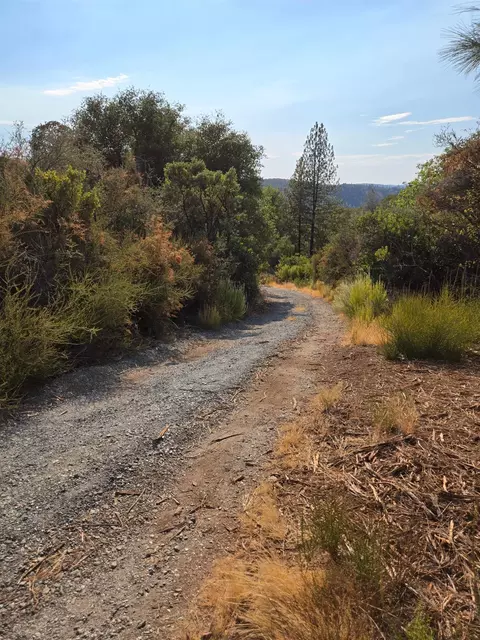 7145 Stewart Mine Rd, Placerville, CA 95667 photo 14