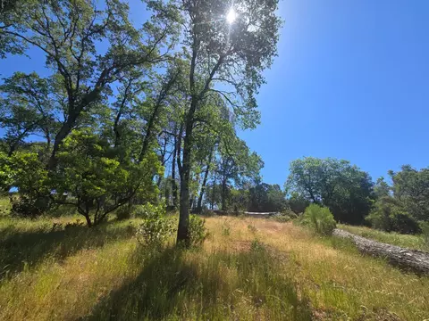 7145 Stewart Mine Rd, Placerville, CA 95667 photo 35