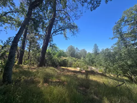 7145 Stewart Mine Rd, Placerville, CA 95667 photo 37