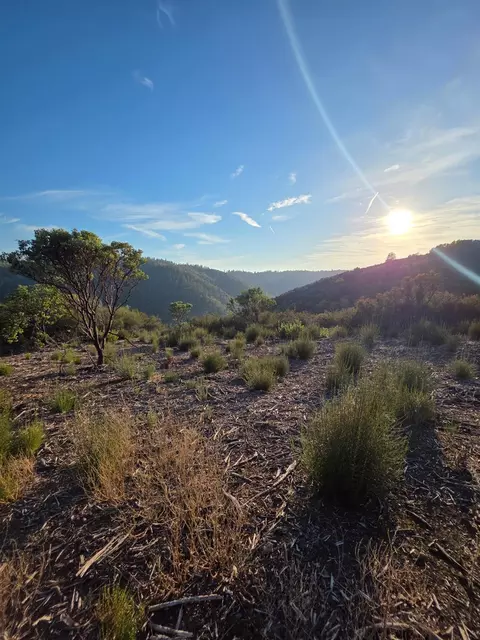 7145 Stewart Mine Rd, Placerville, CA 95667 photo 8