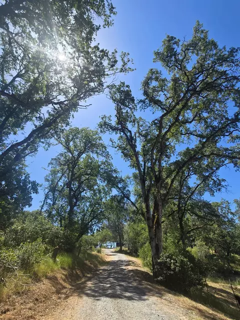 7145 Stewart Mine Rd, Placerville, CA 95667 photo 32