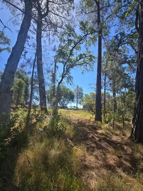 7145 Stewart Mine Rd, Placerville, CA 95667 photo 30