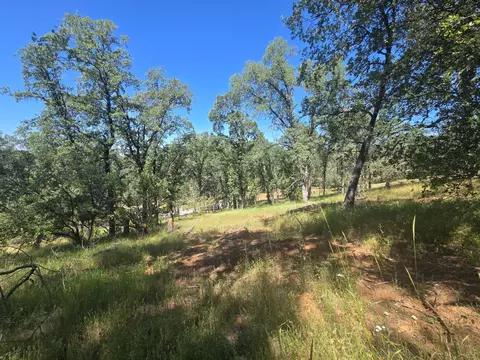 7145 Stewart Mine Rd, Placerville, CA 95667 photo 38
