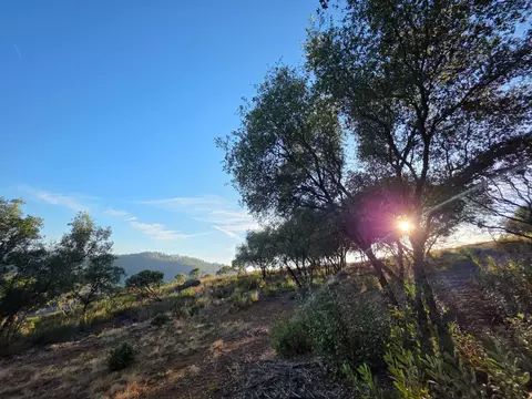 7145 Stewart Mine Rd, Placerville, CA 95667 photo 7