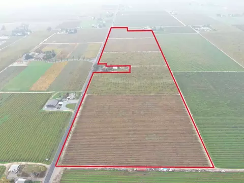 7782 E Harney Ln, Lodi, CA 95240