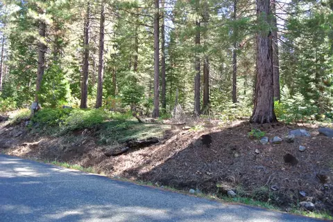 43 Foresthill Rd, Foresthill, CA 95631 photo 6