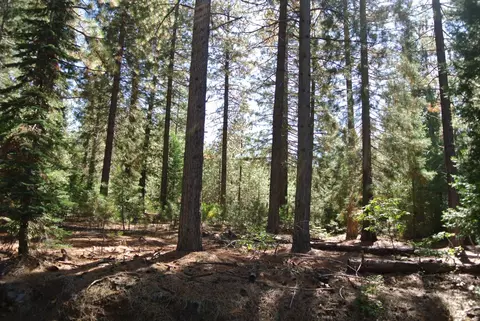 43 Foresthill Rd, Foresthill, CA 95631
