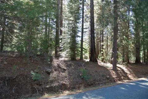 43 Foresthill Rd, Foresthill, CA 95631 photo 5