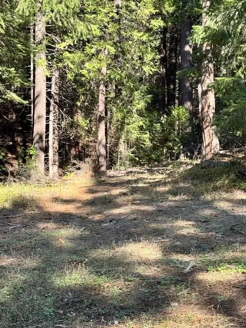 17630 E Antelope Drive E Dr, Pioneer, CA 95666