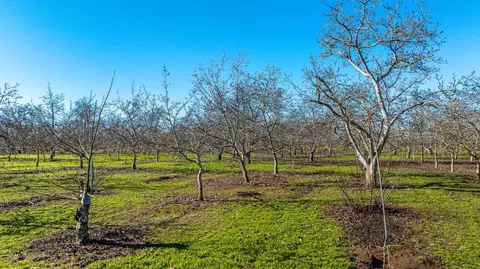 14860 E Baker Rd, Linden, CA 95236 photo 35