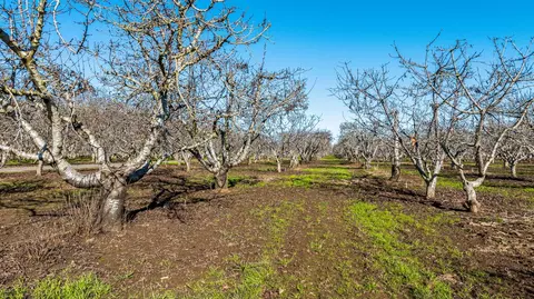 14860 E Baker Rd, Linden, CA 95236 photo 22