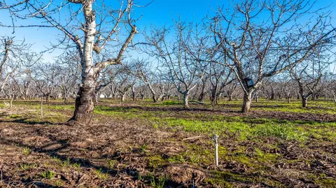 14860 E Baker Rd, Linden, CA 95236 photo 7