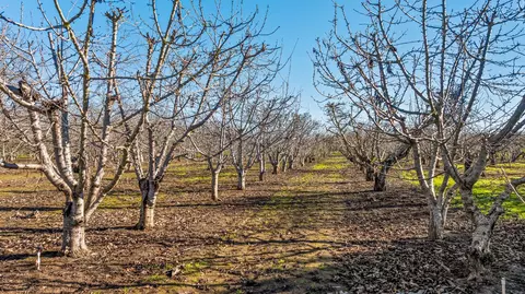 14860 E Baker Rd, Linden, CA 95236 photo 19