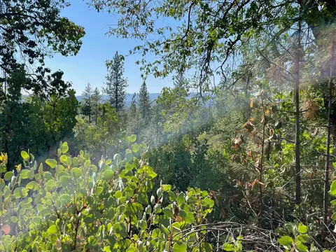 0 N Forbestown Rd, Challenge, CA 95925 photo 2