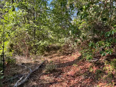 0 N Forbestown Rd, Challenge, CA 95925 photo 8
