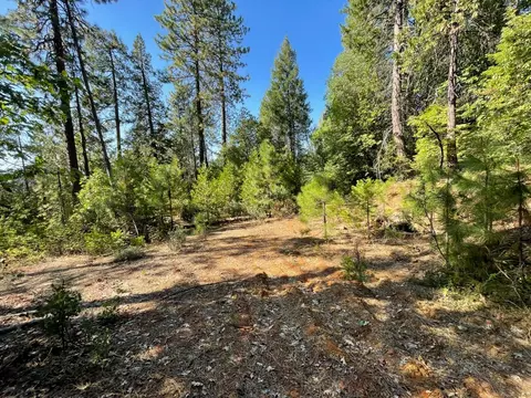0 N Forbestown Rd, Challenge, CA 95925