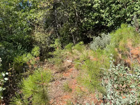 0 N Forbestown Rd, Challenge, CA 95925 photo 3