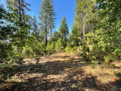 0 N Forbestown Rd, Challenge, CA 95925 photo 7