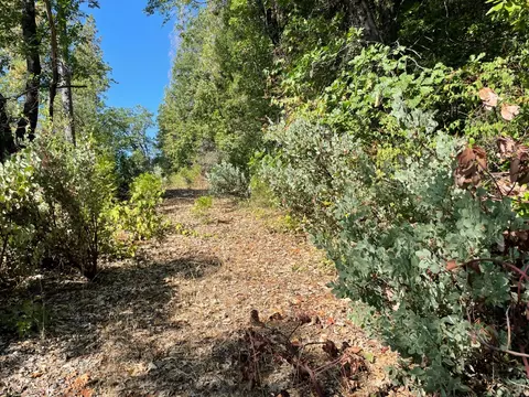 0 N Forbestown Rd, Challenge, CA 95925 photo 9