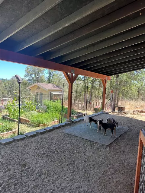Exterior - 12597 Wolf Rd, Grass Valley, CA 95949 photo 20 of 31