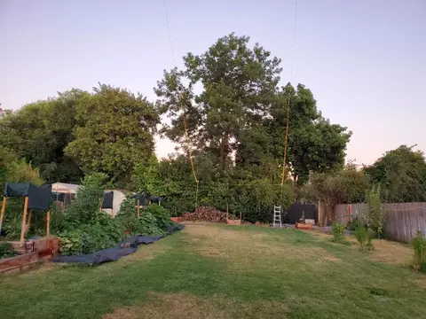 Exterior - 994 Fleda Ave, Olivehurst, CA 95961 photo 6 of 6