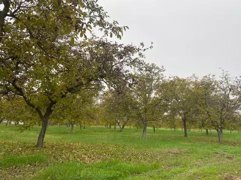 10201 E Fairchild Rd, Stockton, CA 95215