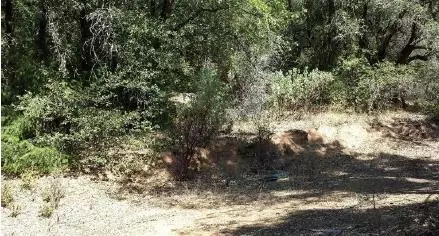 0 Far Far A Way, Colfax, CA 95713 photo 6