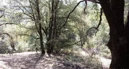 0 Far Far A Way, Colfax, CA 95713 photo 11