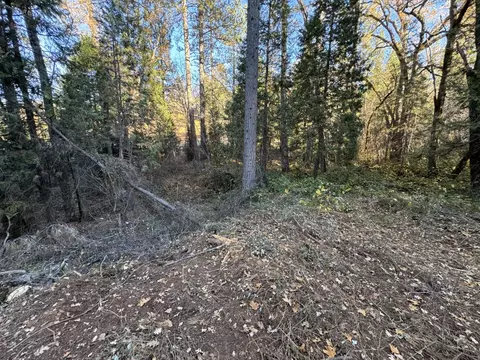 0 Sly Park, Placerville, CA 95667