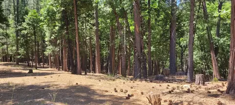 4790 Sierra Springs Dr, Pollock Pines, CA 95726