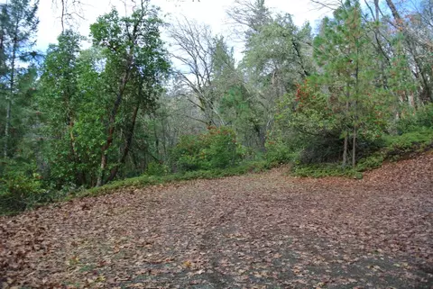5588 Pine Ridge Rd, Foresthill, CA 95631 photo 8