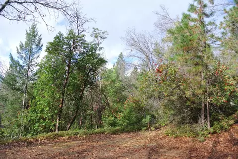 5588 Pine Ridge Rd, Foresthill, CA 95631 photo 2