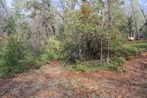 5588 Pine Ridge Rd, Foresthill, CA 95631 photo 6