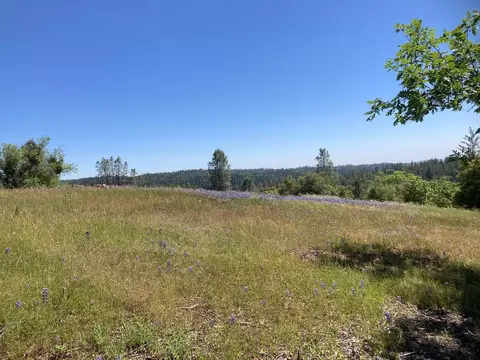 16688 Sonshine Ln, Sutter Creek, CA 95685 photo 3