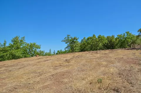 16688 Sonshine Ln, Sutter Creek, CA 95685 photo 43
