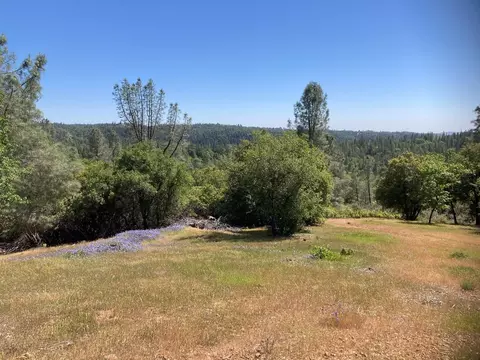 16688 Sonshine Ln, Sutter Creek, CA 95685 photo 6