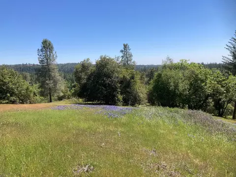 16688 Sonshine Ln, Sutter Creek, CA 95685 photo 46