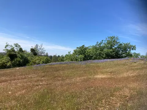 16688 Sonshine Ln, Sutter Creek, CA 95685 photo 41